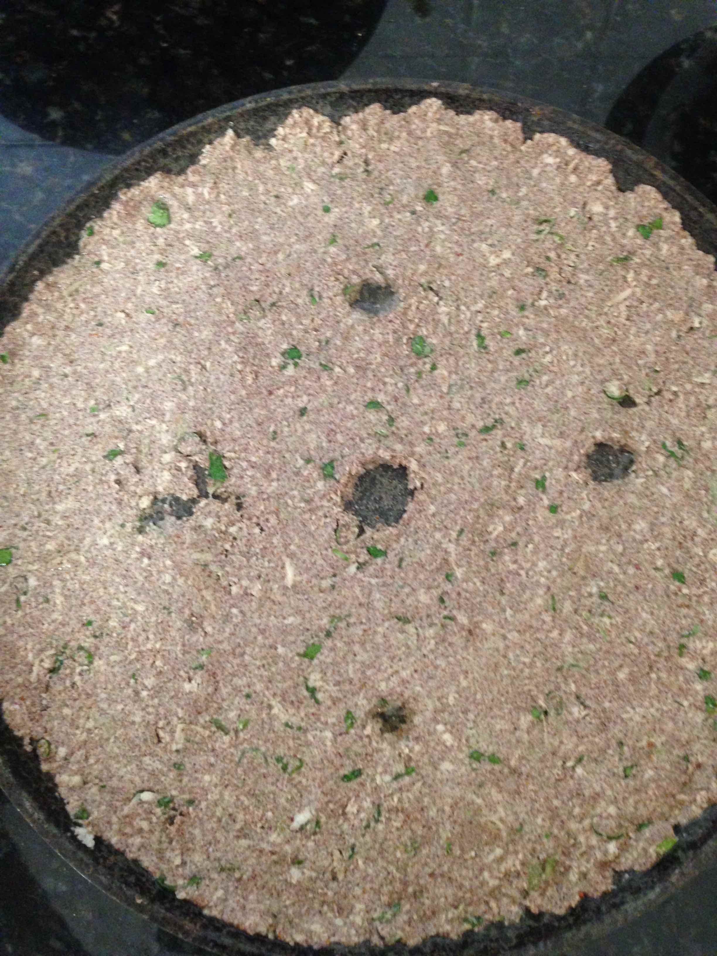 Ragi Rotti